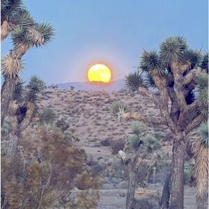 Meet your Posher, Tamara